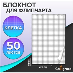 Блокнот для флипчарта, 67,5 х 98 см, 50 листов в клетку, 92%, 80 г/м2, Calligrata