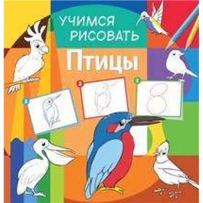 Учимся рисовать. Птицы. Развивающая книга