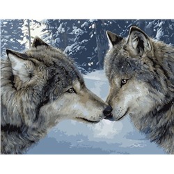 Картина по номерам 40х50 - Волчья пара