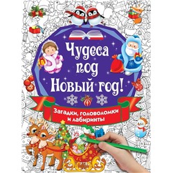 Уценка. Чудеса под Новый год! Загадки, головоломки и лабиринты