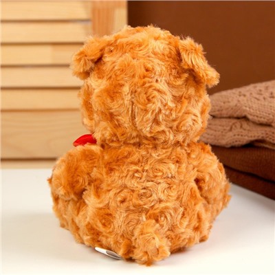 Мягкая игрушка «Медведь», с сердцем, 18 см, цвет коричневый