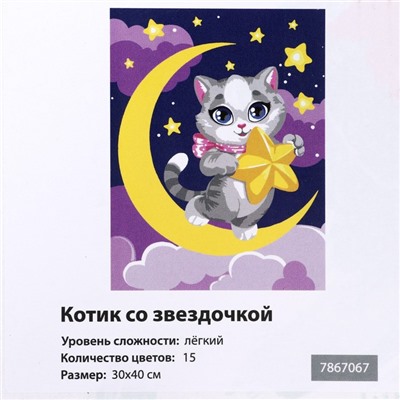 Картина по номерам на холсте с подрамником «Котик со звёздочкой», 30 х 40 см