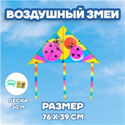 Воздушный змей «Божья коровка», с леской