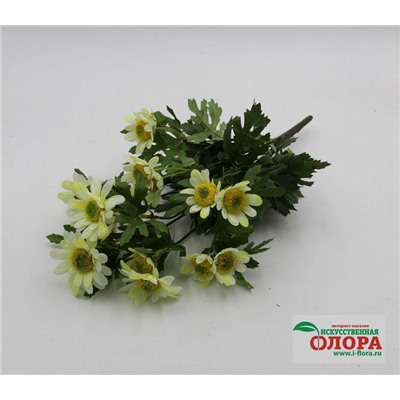 Букет хризантема 8 стеблей (CH10600093)