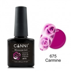 Canni Blossom Gel, для акварельной росписи № 675