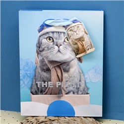 Пакет подарочный (S) «The cat», blue (18*23*10)