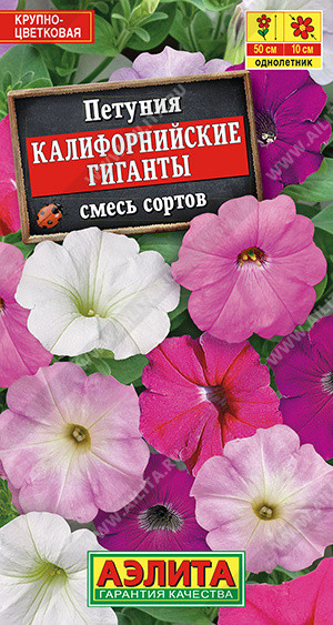 Петуния калифорнийские гиганты