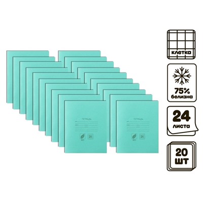 Комплект тетрадей из 20 штук, 24 листа в клетку КПК "Зелёная обложка", 60 г/м2, блок №2, белизна 75% (серые листы)