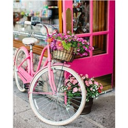 Картина по номерам 40х50 - Велосипед с корзинкой