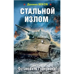 Даниил Веков: Стальной излом. Остановить Гудериана!