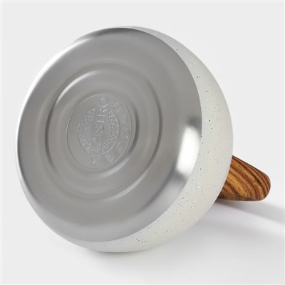 Чайник со свистком из нержавеющей стали Magistro Stone, 2,7 л, ручка soft-touch, индукция, цвет бежевый