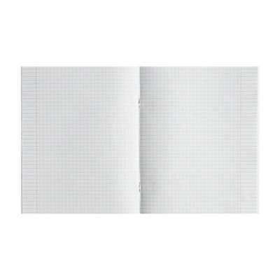 Тетрадь предметная Calligrata "Металл", 48 листов в клетку Физика, со справочным материалом, обложка мелованный картон, блок №2, белизна 75% (серые листы)