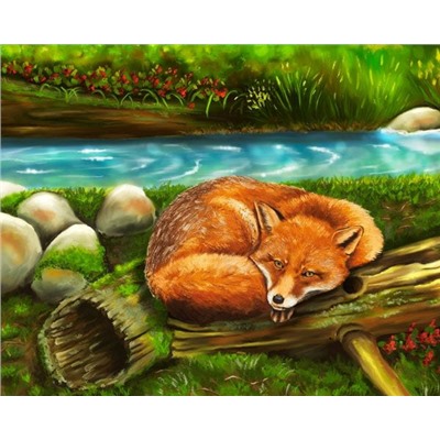Картина по номерам 40х50 - Спящая лиса