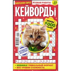 БП Кейворды 23/24