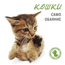 Кошки. Само обаяние