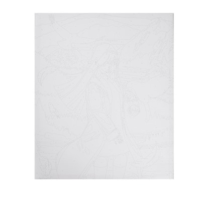 Картина по номерам на холсте с подрамником «Девушка с птицами», 40 х 50 см