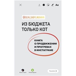 Уценка. Из бюджета только кот. Книга о продвижении и прогревах в инстаграме