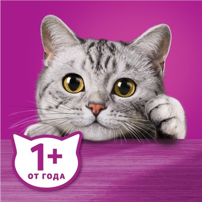 Влажный корм Whiskas Meaty для кошек, лосось, 75 г