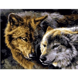 Картина по номерам 40х50 - Серые волки