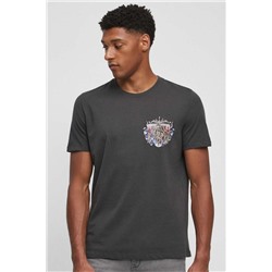 T-shirt bawełniany męski z kolekcji Zamkowe Legendy kolor szary