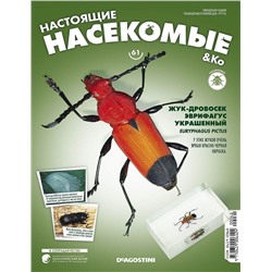 Журнал №61 "Настоящие насекомые" С ВЛОЖЕНИЕМ! Жук-дровосек эврифагус украшенный