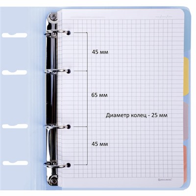 Тетрадь на кольцах А5 175х220 мм, 120 л., пластик, с резинкой и разделителями, BRAUBERG, Голубой, 404633
