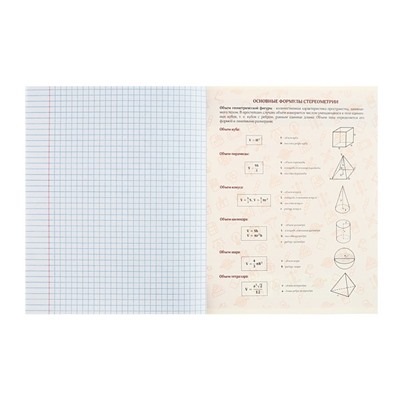 Тетрадь предметная Calligrata TOP "Анимэ", 48 листов в клетку Геометрия, со справочным материалом, обложка мелованный картон, блок офсет