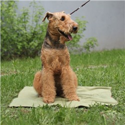 Охлаждающий коврик для собак, размер 50 х 70 см