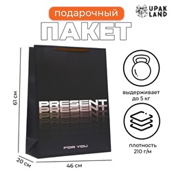 Пакет ламинированный  "Present", XXL  46 х 61 х 20 см