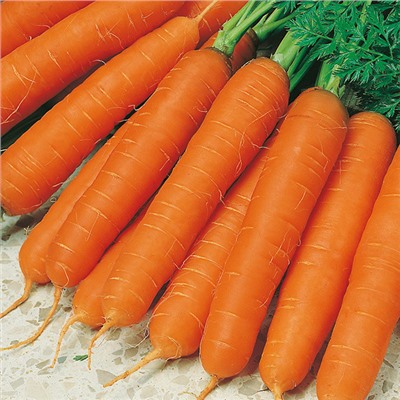 0087 Морковь Осенний король 2гр