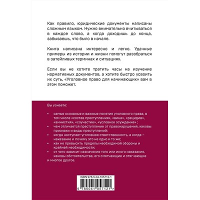 Дмитрий Усольцев: Уголовное право для начинающих