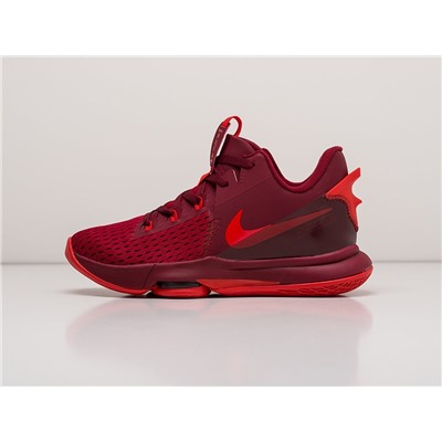 Кроссовки Nike Lebron Witness V