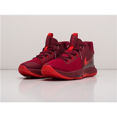 Кроссовки Nike Lebron Witness V