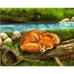 Картина по номерам 40х50 - Спящая лиса