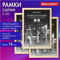 Рамка 21х30 см небьющаяся, КОМПЛЕКТ 3 шт., багет 14 мм дерево, BRAUBERG "Elegant", цвет натуральное дерево, 391357