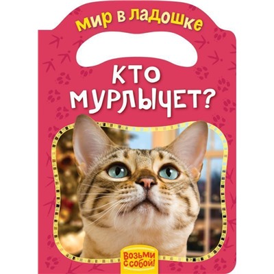 Кто мурлычет? Мир в ладошке